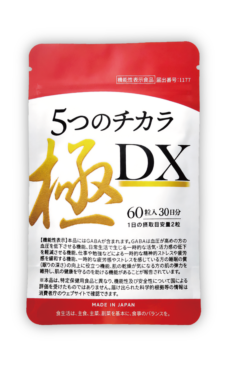 5つのチカラ極DX