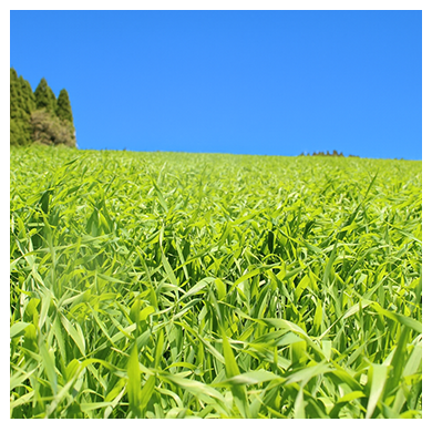 製品へのこだわり